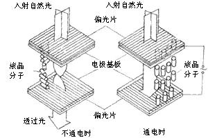 分子的排布与透过光